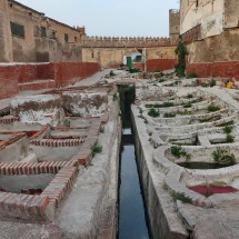 In the tannery of Tétouan